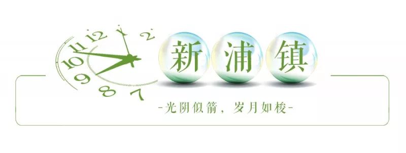 光阴似箭_光阴似箭的箭是哪个键_光阴似箭