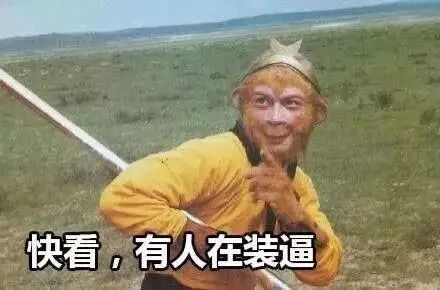 浮萍的意象含义_浮萍是什么意思_浮萍形容什么