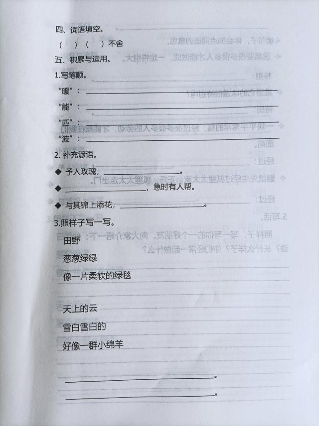 童组词语_童的词组有哪些_童组词组什么