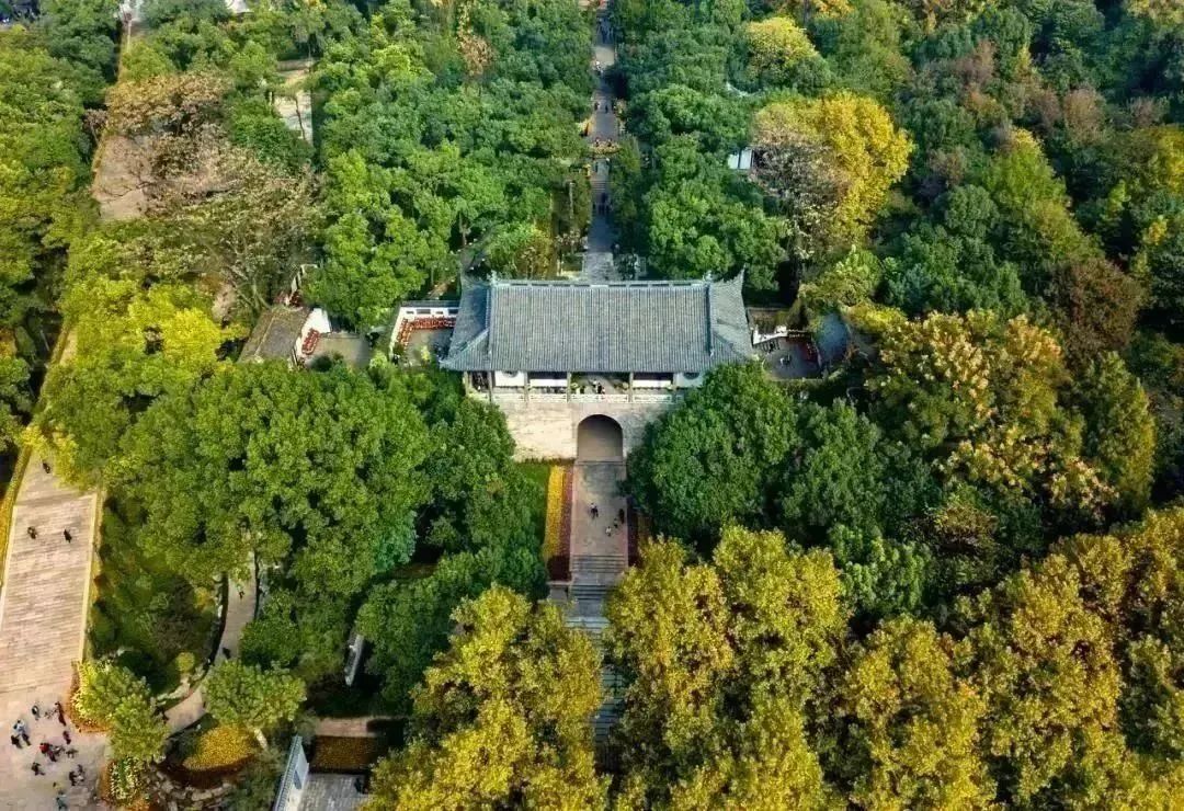 吟咏花木的诗_咏吟花木的诗_关于吟咏花木的诗
