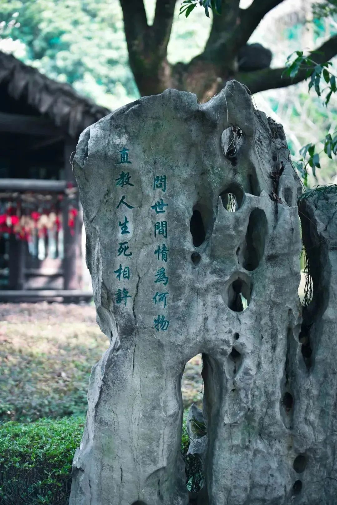 吟咏花木的诗_关于吟咏花木的诗_咏吟花木的诗