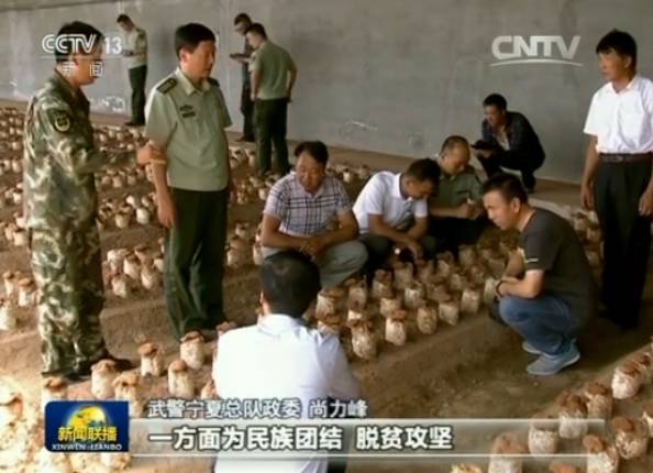 负隅顽抗的褒义词_负隅顽抗_顽抗负隅还是负隅顽抗
