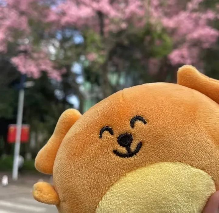 携_携的意思_携怎么读