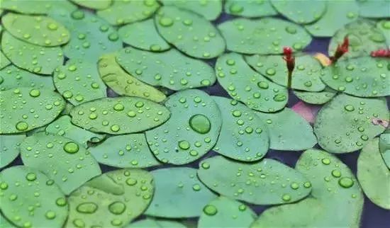 皮日休生平简介_皮日休《汴河怀古》_皮日休