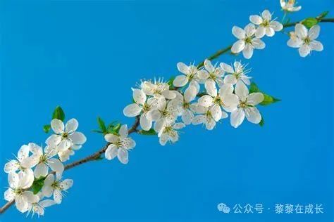 弄孙含饴诗词_饴弄孙含饴弄孙_含饴弄孙什么意思
