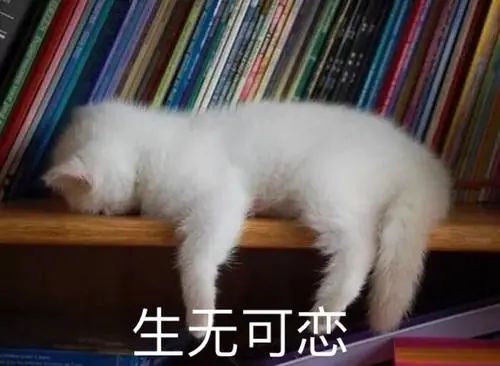懊恼是什么意思_懊恼这个词是什么意思_懊恼是什么意思意