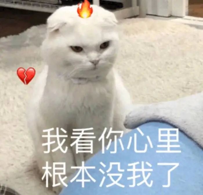 懊恼这个词是什么意思_懊恼是什么意思_懊恼是什么意思意