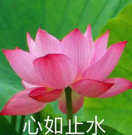 懊恼这个词是什么意思_懊恼是什么意思意_懊恼是什么意思