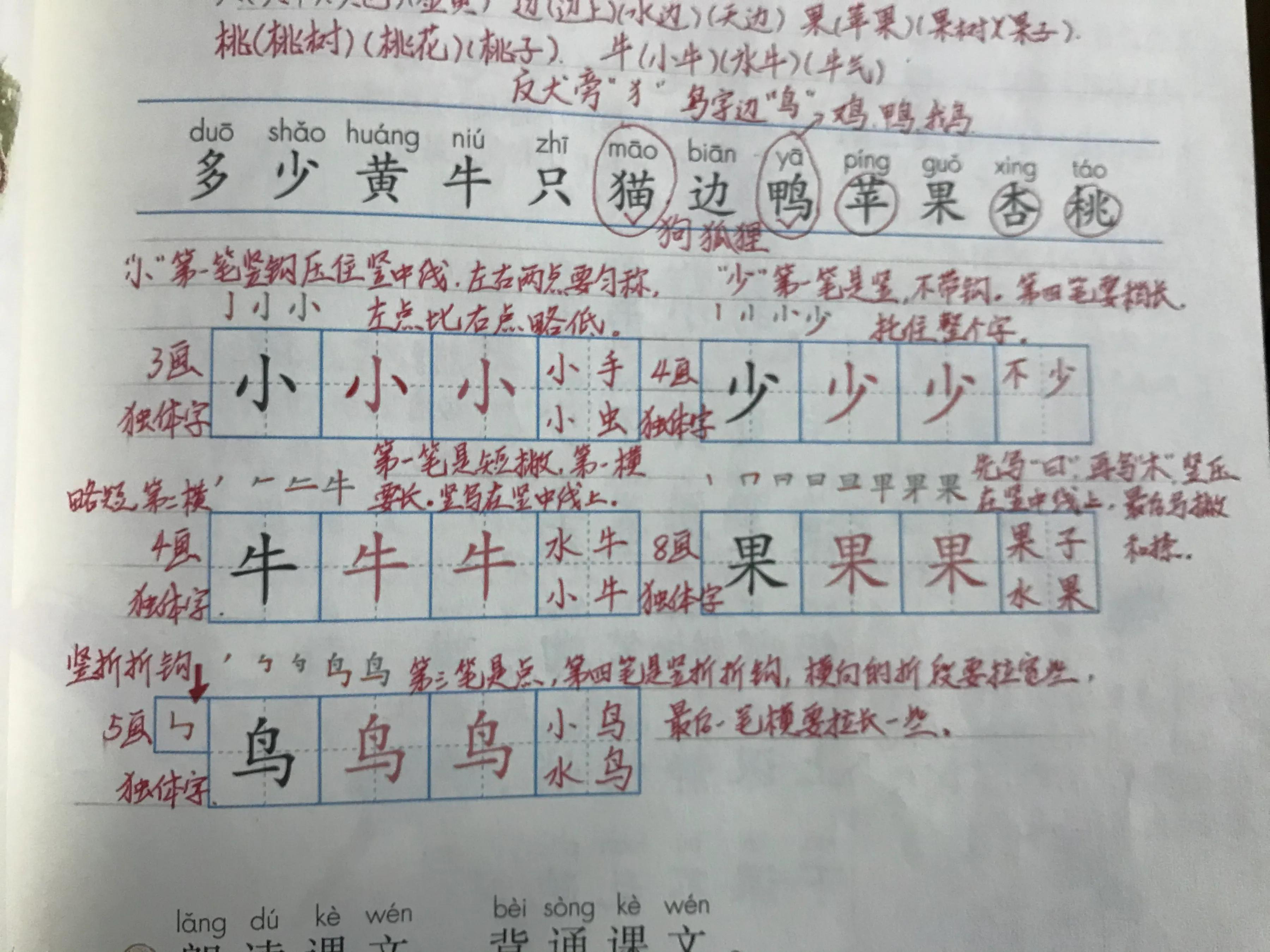 识组词组_识的组词_识组词多音字