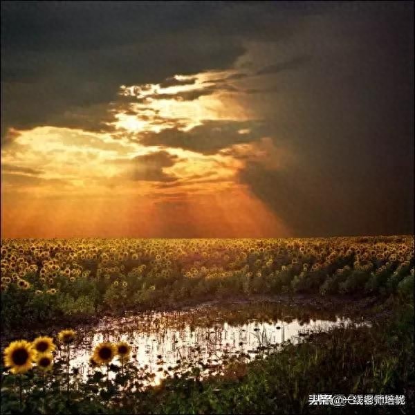 坪坝是什么意_坪坝的意思是指什么_坪坝的意思意思