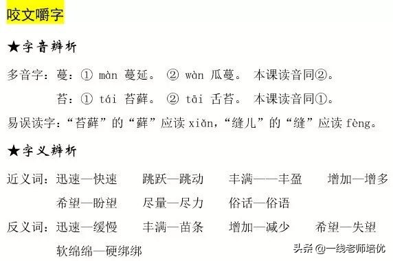 坪坝是什么意_坪坝的意思意思_坪坝的意思是指什么