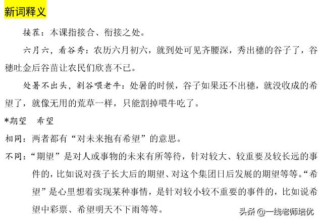 坪坝的意思是指什么_坪坝的意思意思_坪坝是什么意