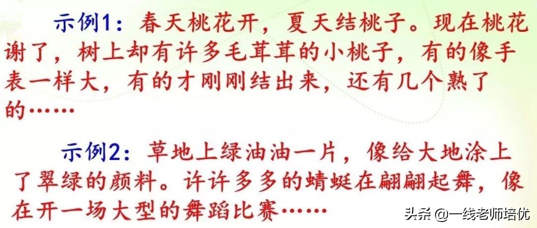 坪坝是什么意_坪坝的意思意思_坪坝的意思是指什么