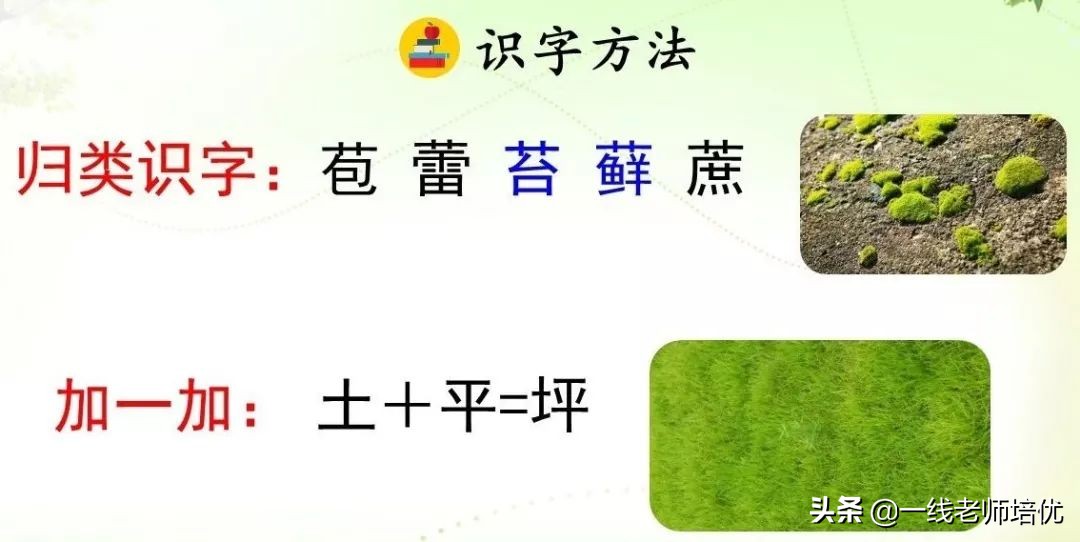坪坝的意思是指什么_坪坝是什么意_坪坝的意思意思