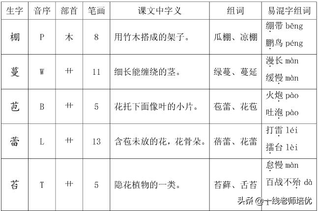 坪坝的意思是指什么_坪坝的意思意思_坪坝是什么意