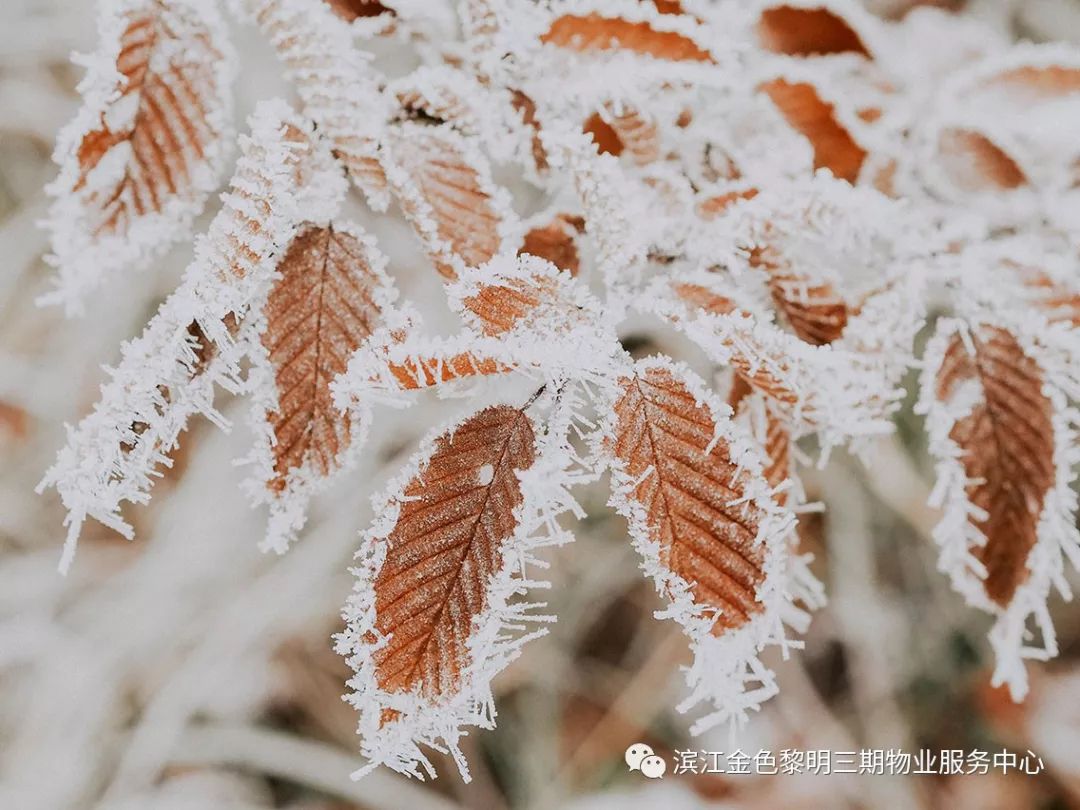 孤舟蓑笠翁_孤舟蓑笠翁的翁怎么读_笠翁孤舟蓑笠翁