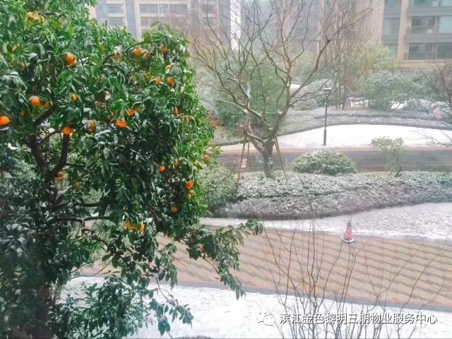 孤舟蓑笠翁_孤舟蓑笠翁的翁怎么读_笠翁孤舟蓑笠翁