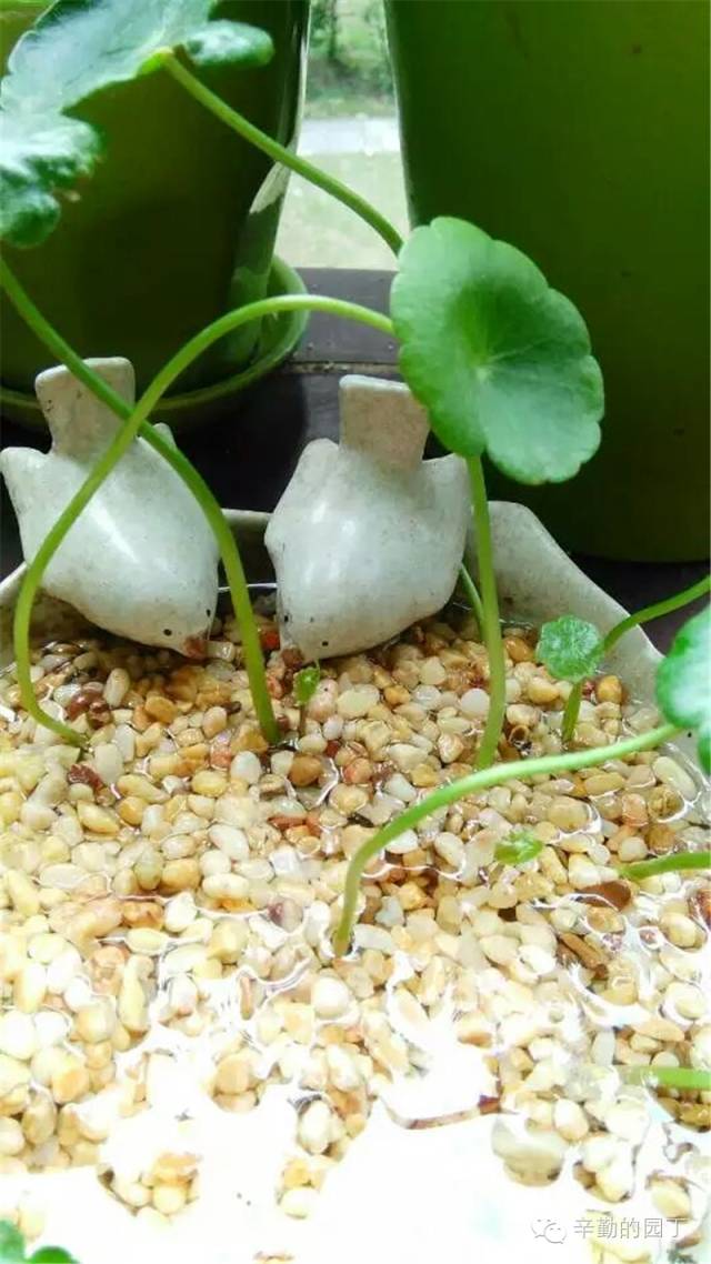 东篱采菊悠然见南山意思_东篱_东篱医院