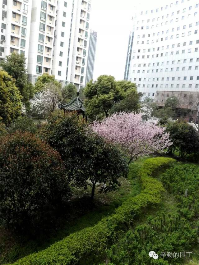 东篱_东篱采菊悠然见南山意思_东篱医院