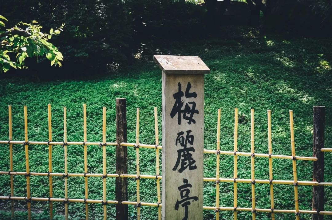 闪笔顺组词_闪笔顺正确的方法_闪的笔顺