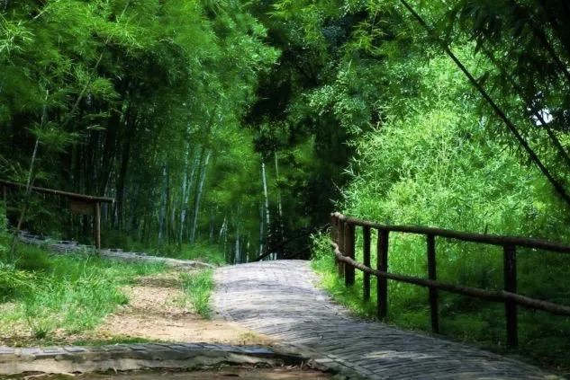 郑板桥诗歌大全_郑桥板的诗作_郑板桥诗