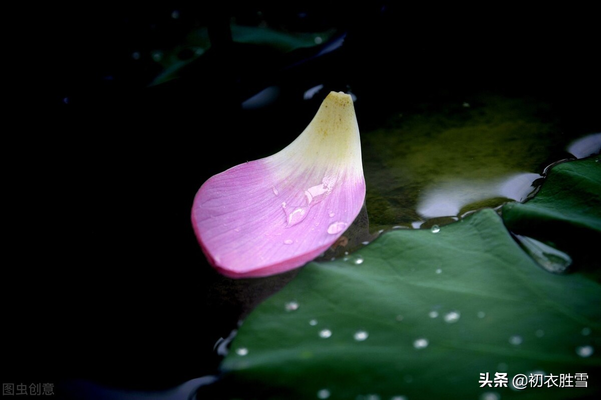 杨万里诗十首_杨万里的诗_杨万里诗风格特点