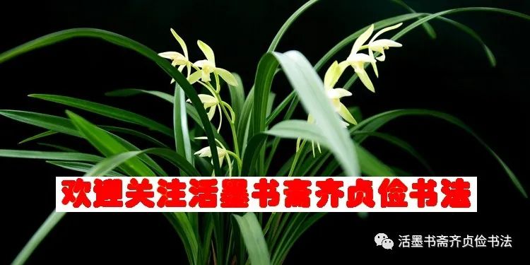 禅意图片_禅意是什么意思_禅意