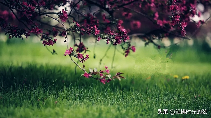 苦中作乐的诗_诗人苦中作乐的古诗_苦中作乐的诗句