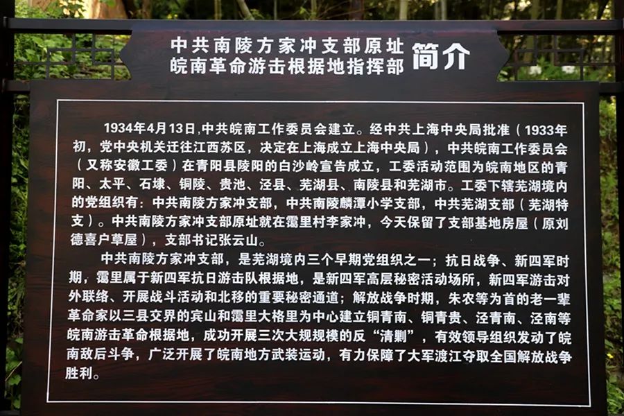 山谷幽静_幽静的_幽静阴森树林桌面壁纸
