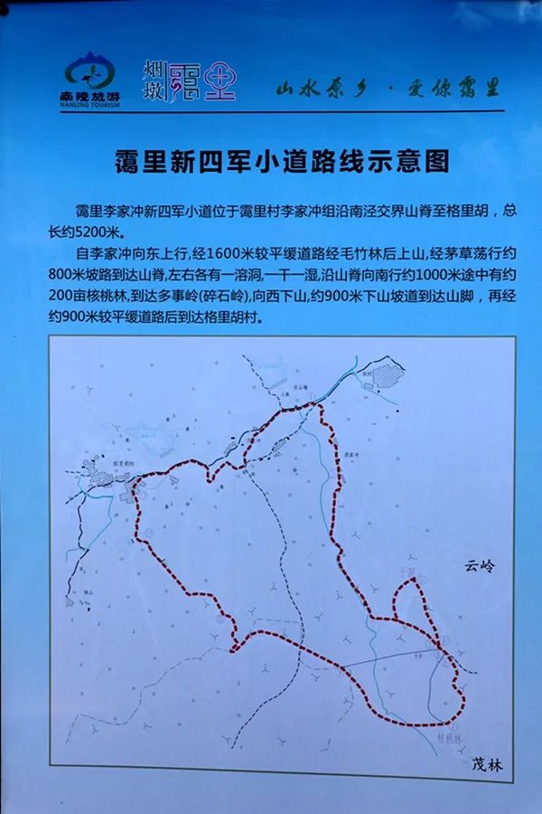 山谷幽静_幽静的_幽静阴森树林桌面壁纸