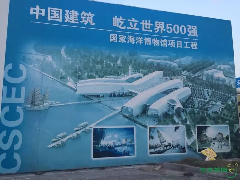 生态梦网_生态梦网招聘信息_生态梦网招聘求职
