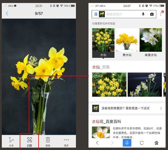 识图在线百度百科_百度识图在线识图_识图在线百度网盘