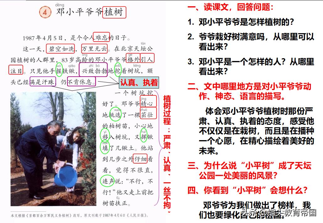 植的笔顺_植笔顺是_植笔顺笔画顺序
