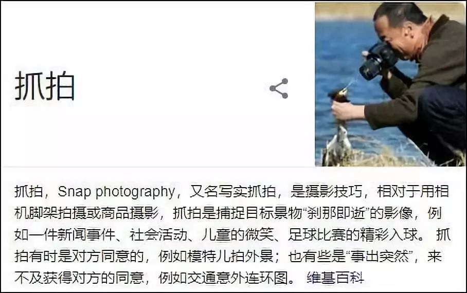 节操是什么意思_节操的定义_节操意思是什么