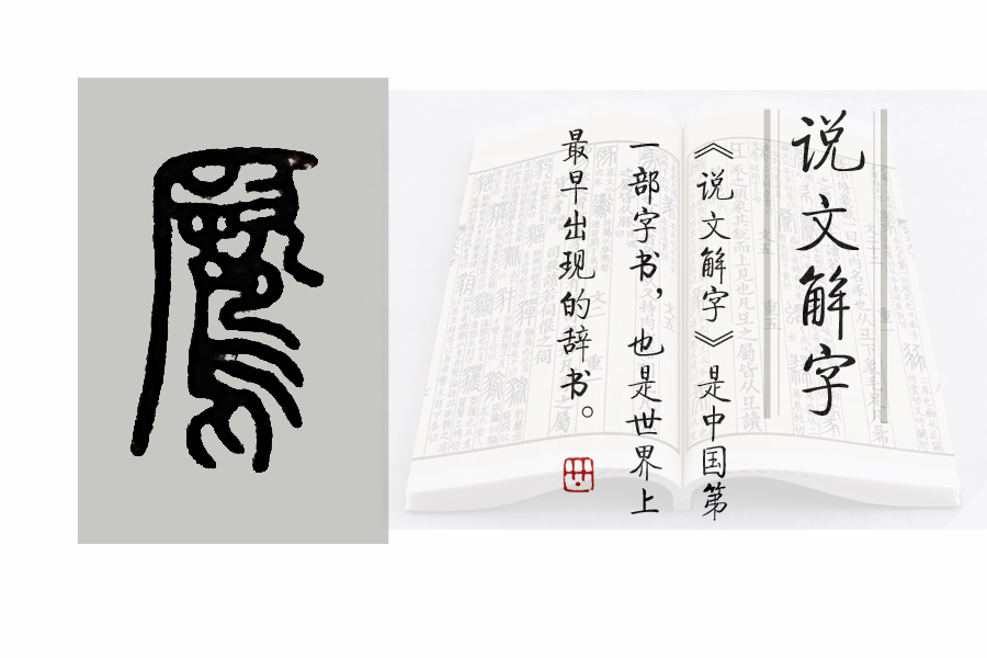 鸷怎么读_鸷怎么读_鸷怎么读