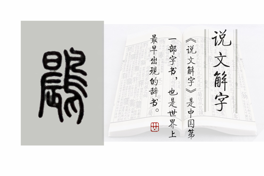 鸷怎么读_鸷怎么读_鸷怎么读