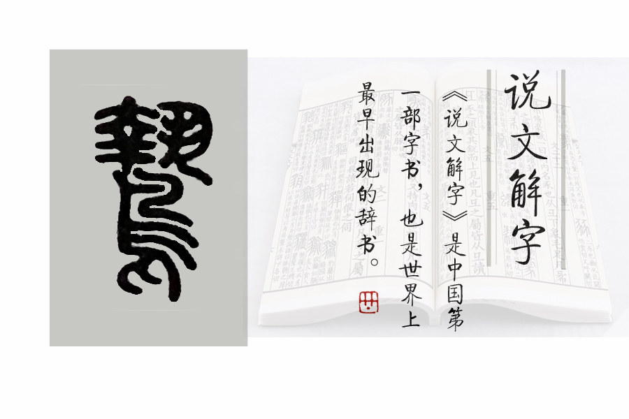 鸷怎么读_鸷怎么读_鸷怎么读