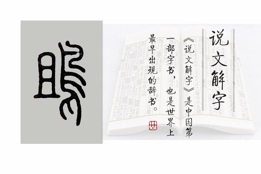 鸷怎么读_鸷怎么读_鸷怎么读