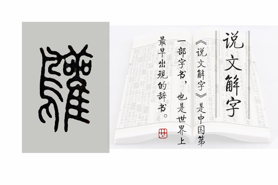 鸷怎么读_鸷怎么读_鸷怎么读