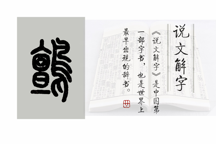 鸷怎么读_鸷怎么读_鸷怎么读