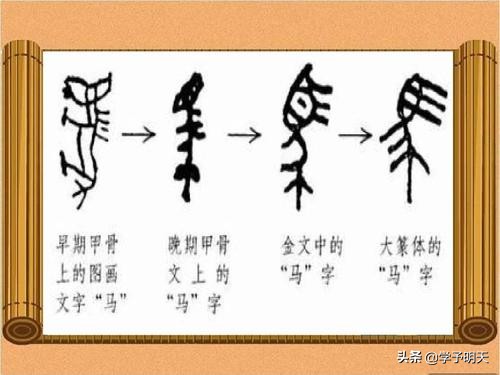 蛛的拼音_拼音蛛丝_拼音蛛丝马迹