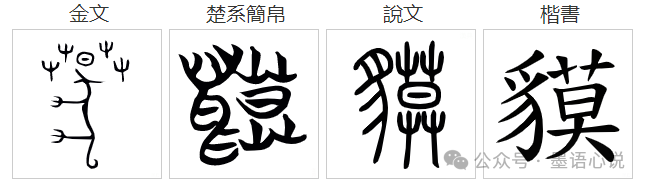 豸字怎么读_豸字怎么读_豸字怎么读