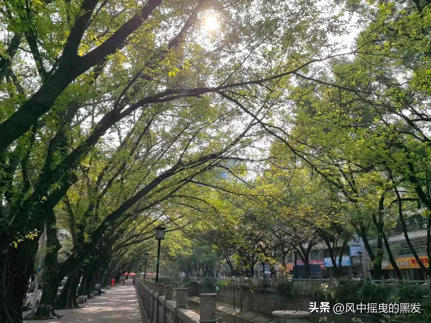 豸怎么读_豸怎么读_豸怎么读