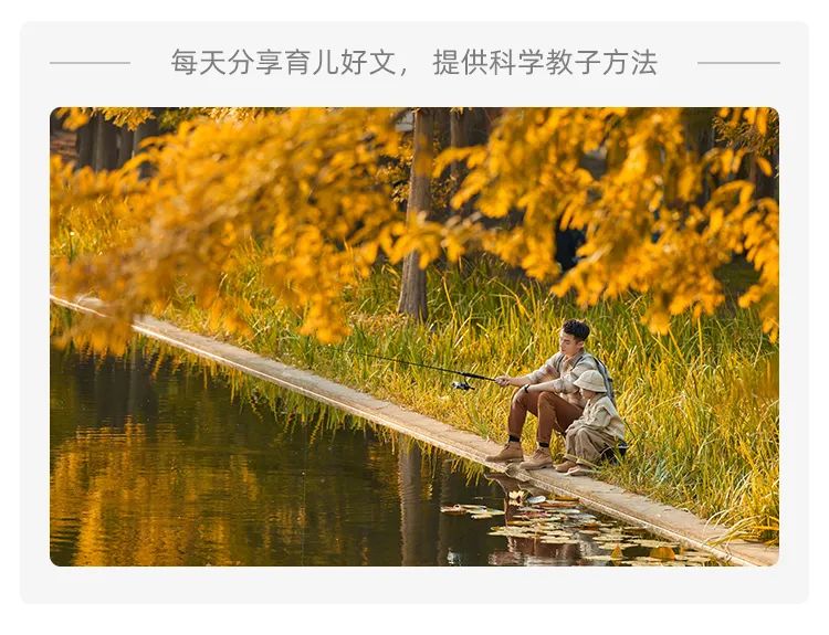 咨询的拼音_拼音咨询汉字_拼音咨询处