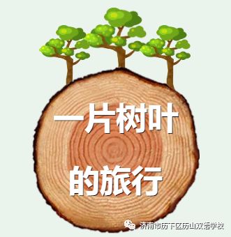 拼音树枝_拼音树杈_树的拼音