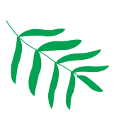 部首查字_部首查字法在线查_乎的部首