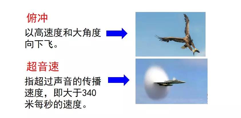 组词两个字_组词一年级_其的组词