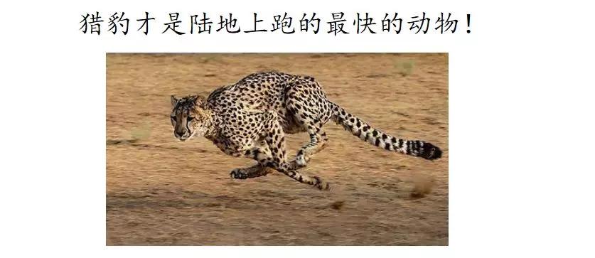其的组词_组词一年级_组词两个字