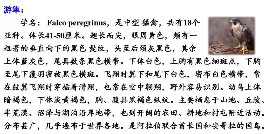 其的组词_组词一年级_组词两个字