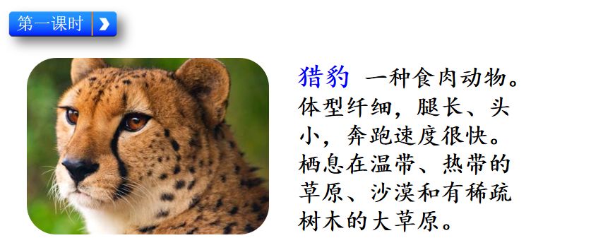 组词两个字_其的组词_组词一年级